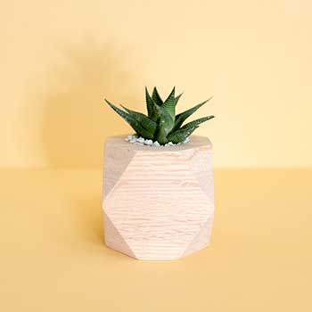 短信免费轰炸网页